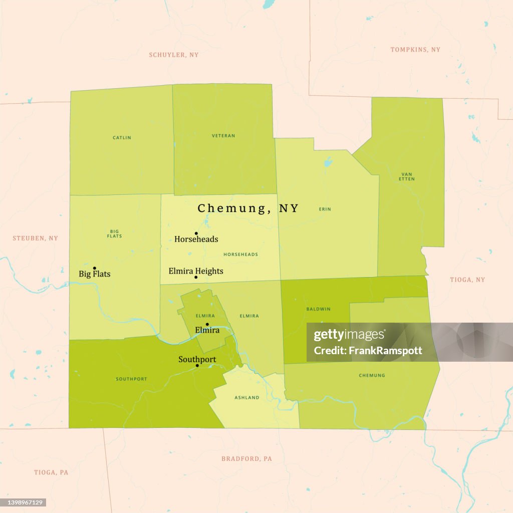 NY Chemung Vector Map Green
