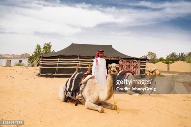 middle eastern man with two relaxed camels in desert area - saudi arabia desert stock pictures, royalty-free photos & images