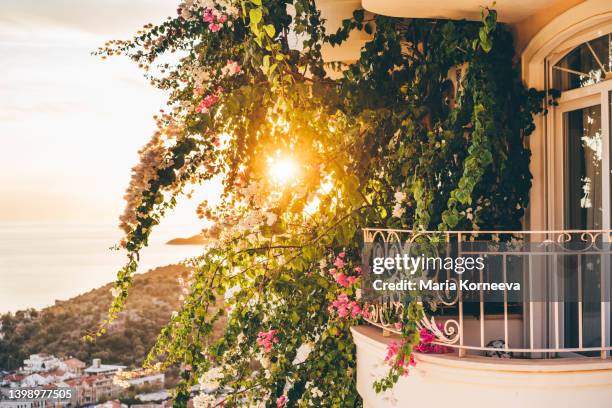 balcony with flowers at sunset. - balcon fleuri photos et images de collection