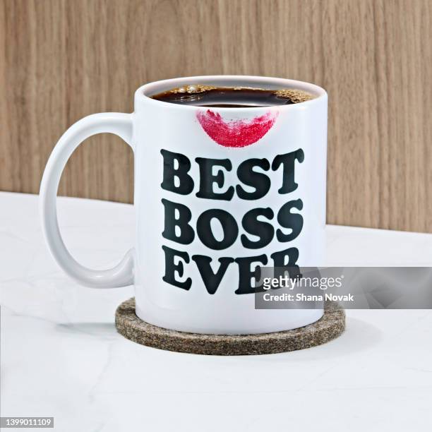female boss - "shana novak" stock pictures, royalty-free photos & images