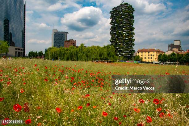 coexistence of nature and industry, biblioteca degli alberi park, milano - vertical forest stock pictures, royalty-free photos & images