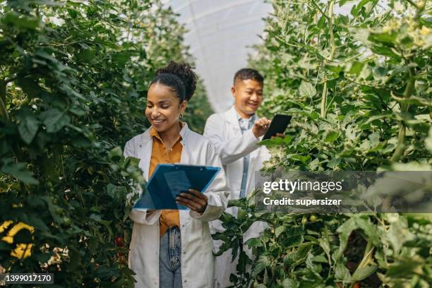 collecting plants - greenhouse plants stock pictures, royalty-free photos & images