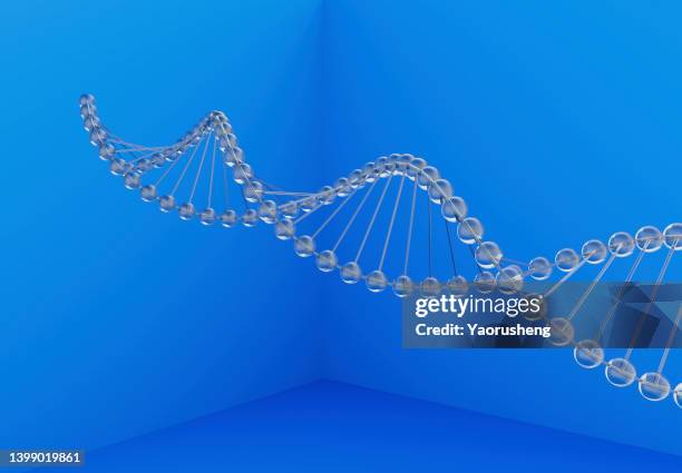 abstract dna structure - nucleotide foto e immagini stock