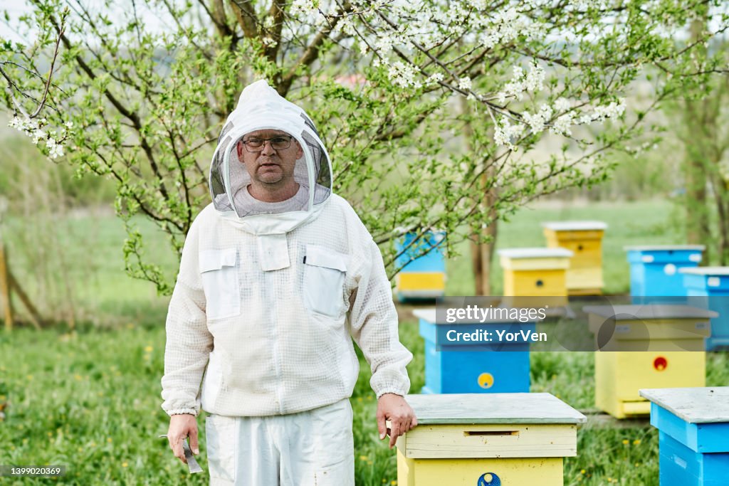 Portrait of Beekeeper at Work