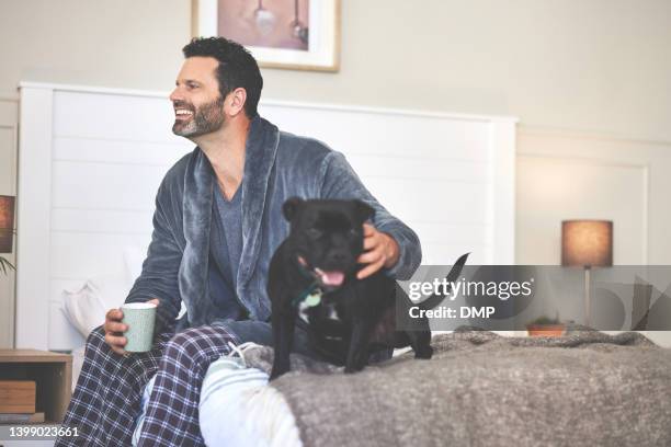 a man playing with his dog and having coffee in bed at home. a happy mature guy sitting in his bedroom during a relaxing morning and having fun with his pet - leisure work coffee happy stockfoto's en -beelden