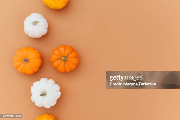 multicolored mini pumpkins on an orange background. autumn composition. autumn background. holiday halloween. - squash vegetable fotografías e imágenes de stock