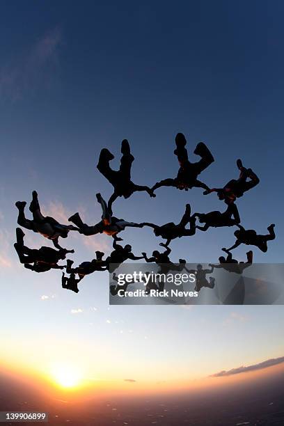 skydive - skydiving stock pictures, royalty-free photos & images