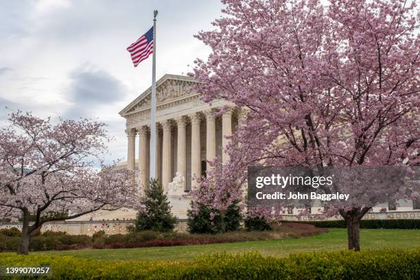 supreme court and cherry blossoms - us supreme court fotografías e imágenes de stock