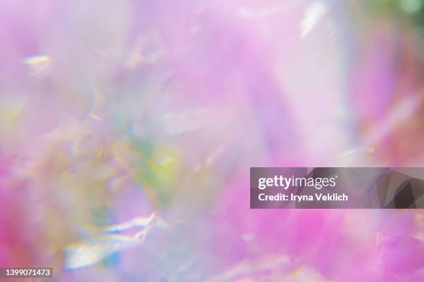 beautiful pink rose flowers and green leaves in sunlight bokeh. abstract concept of natural product and nature. - green which rose stockfoto's en -beelden