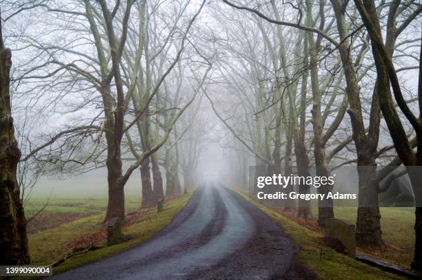 foggy country road - doylestown pa stock pictures, royalty-free photos & images
