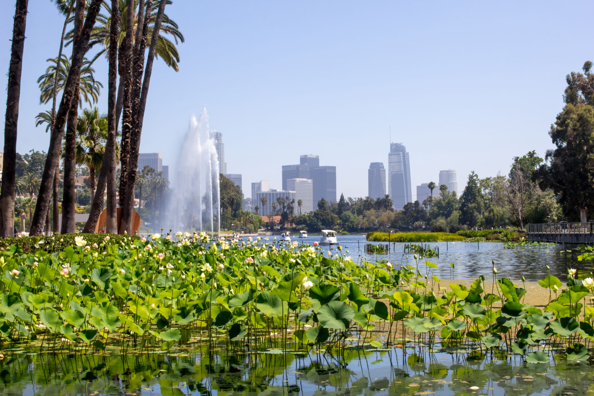 echo park lake