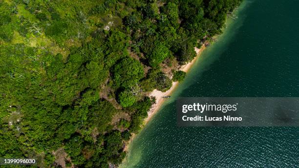 river of amazon region in brazil - drone view - amazon river stockfoto's en -beelden