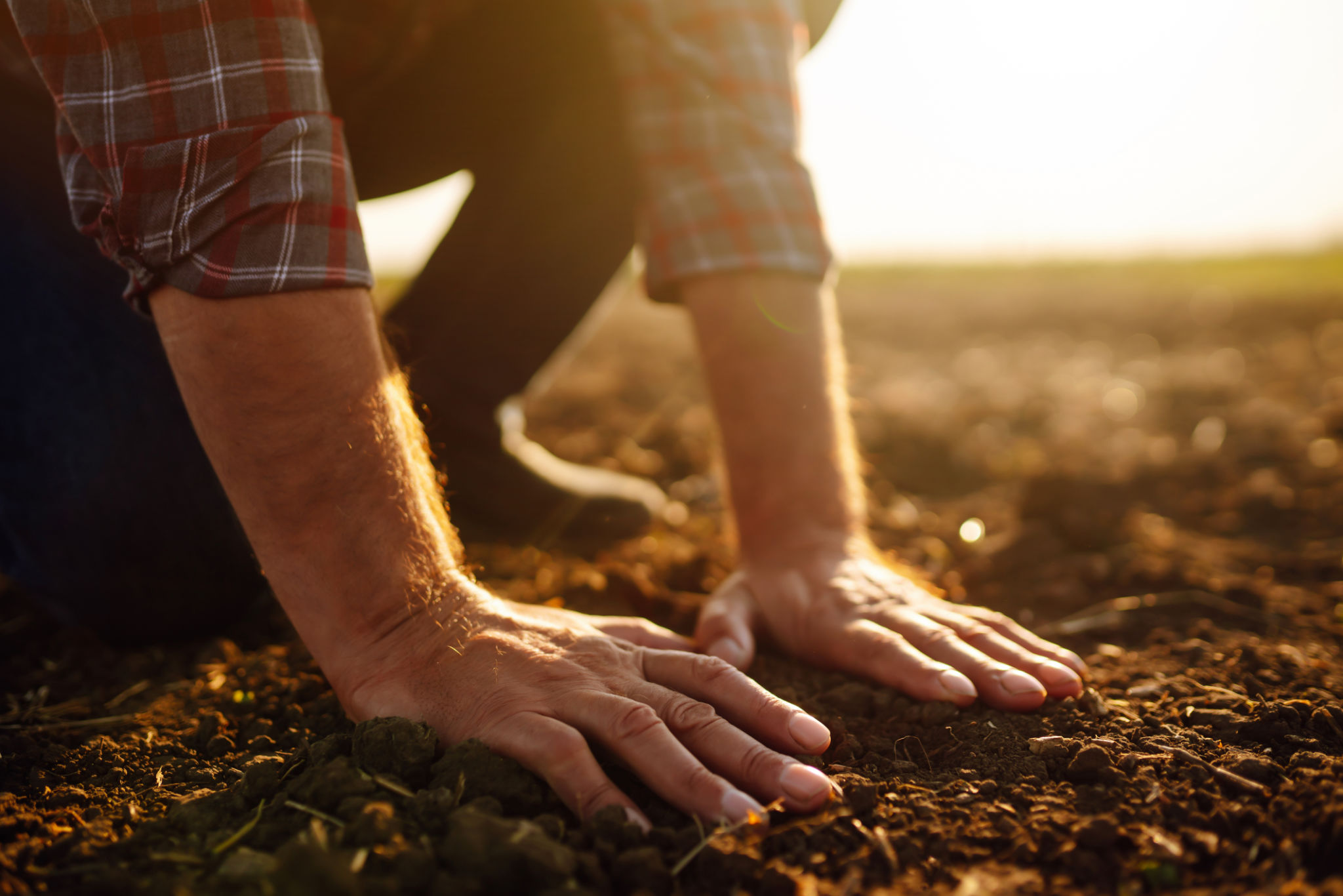 farm preparation