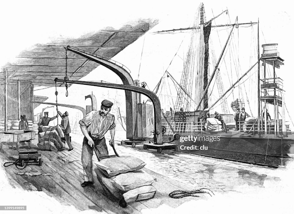 Unloading a coffee ship in the port of Hamburg