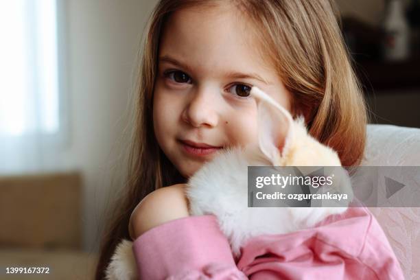 cute little girl and white rabbit - hare stock pictures, royalty-free photos & images