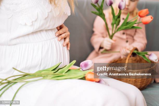 pregnant woman holds her hand on her stomach. mother and daughter with tulips - baby touching belly fotografías e imágenes de stock