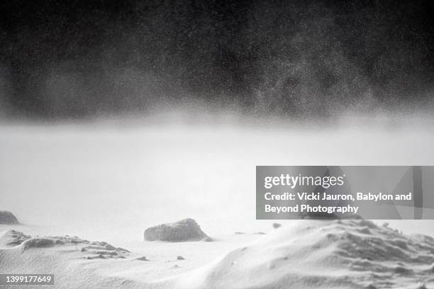 snow blowing against dark background in chester county, pennsylvania - ventisca fotografías e imágenes de stock