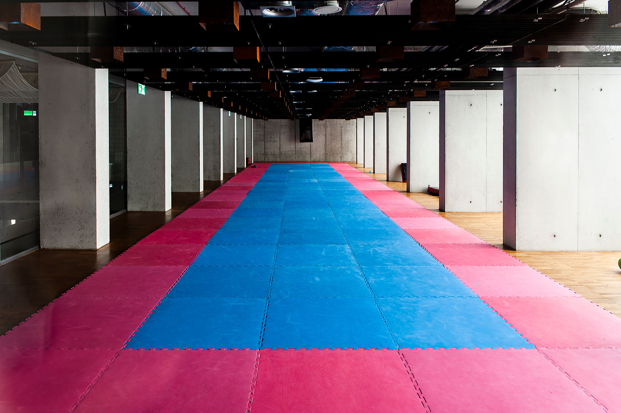 modern martial arts gym