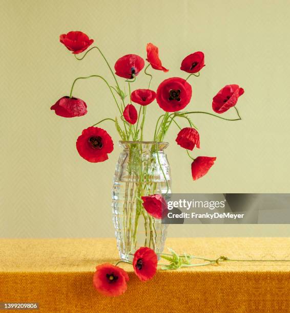 stillleben mit glasvase, die einen strauß mohnblumen hält - türkischer mohn stock-fotos und bilder