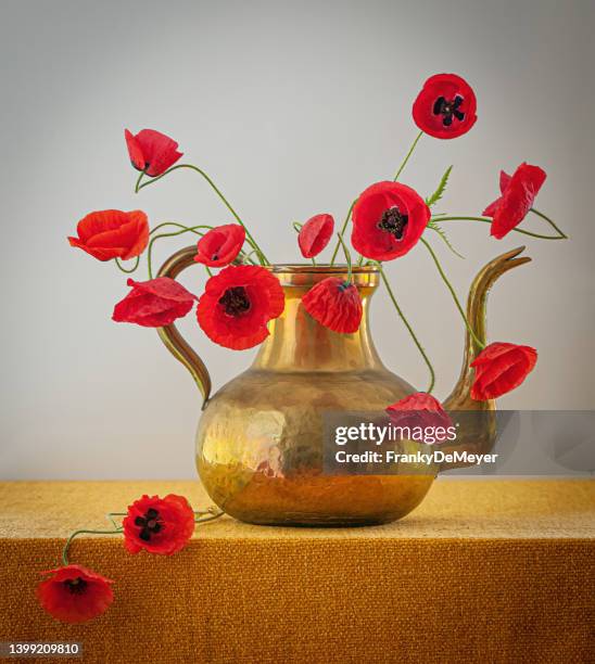 copper kettle with bouquet of poppy flowers - bronze background stock pictures, royalty-free photos & images