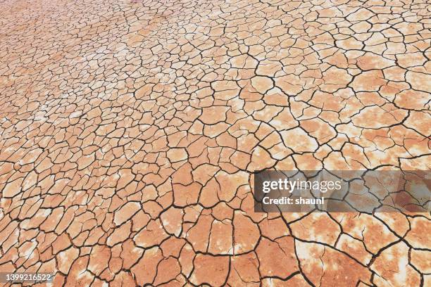 dry riverbed - mud riverbed stock pictures, royalty-free photos & images