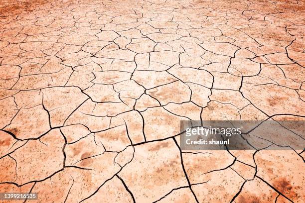 dry riverbed - riverbed stock pictures, royalty-free photos & images