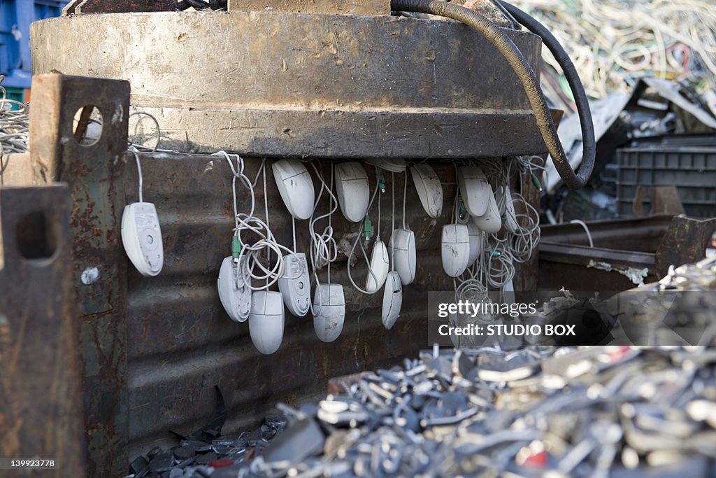 Upcycled Computer Mouse Computer Mouse Recycling High-Res Stock Photo - Getty Images