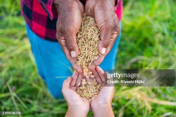 sharing food - donation box stock pictures, royalty-free photos & images