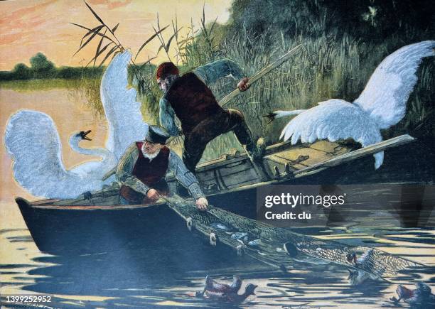 fishermen fighting geese protecting their young - goose stock illustrations stock illustrations