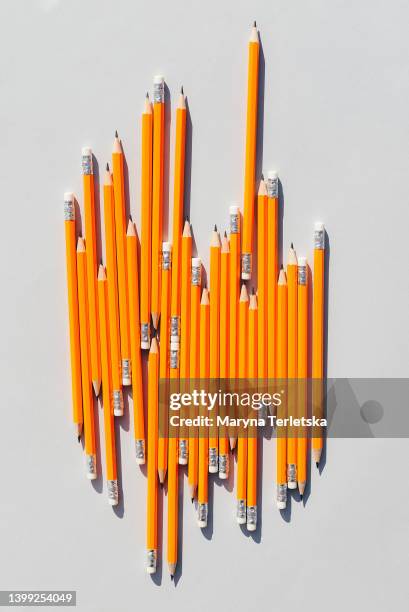 many simple pencils on a gray background. back to school. education. stationery tools. office. minimalism. - pencil with rubber stock pictures, royalty-free photos & images