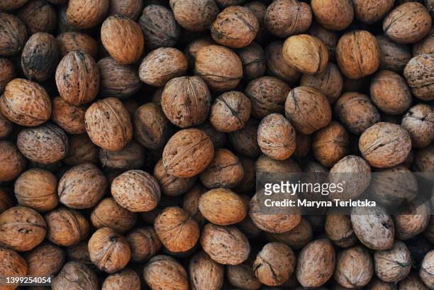 lots of shelled walnuts. background with nuts. walnut pattern. autumn harvest. - walnut farm stock pictures, royalty-free photos & images