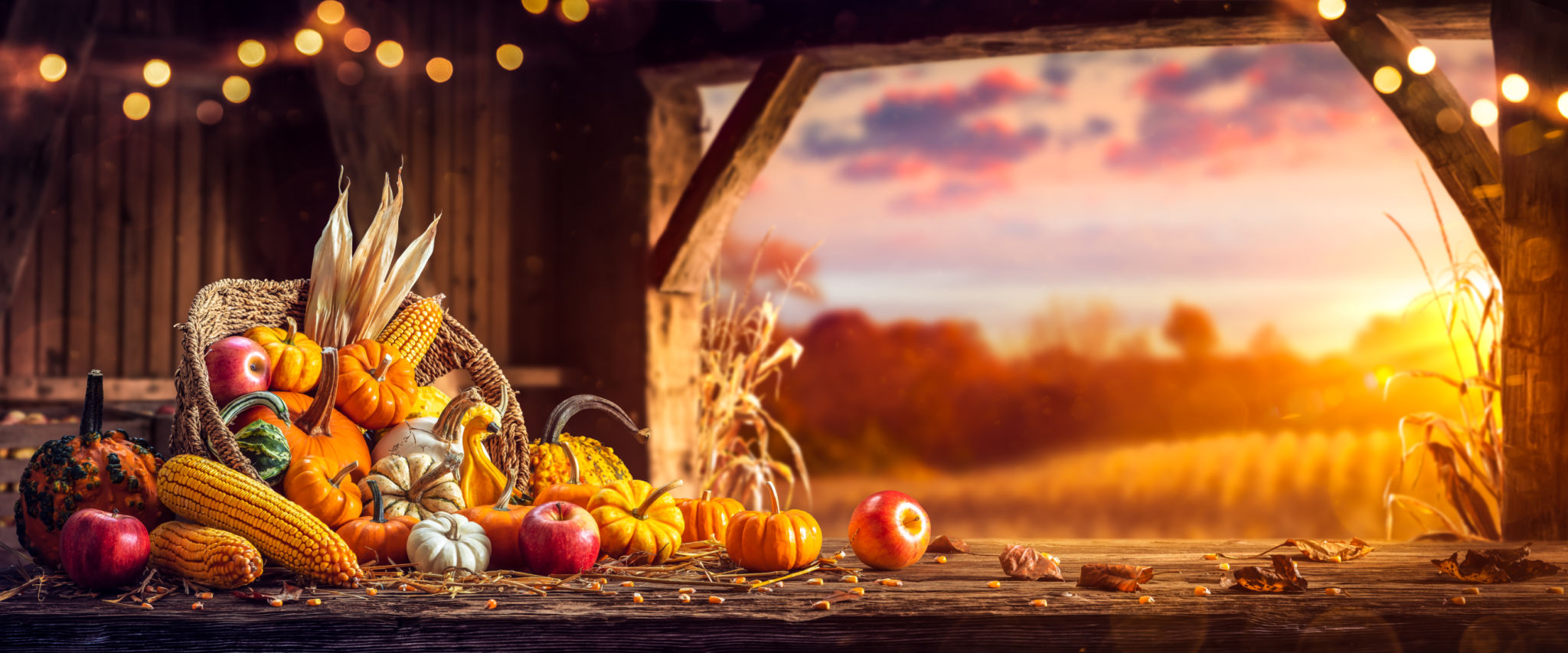 autumn food photography