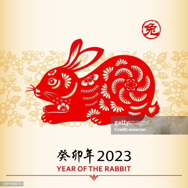 chinese new year rabbit - chinese welcome text stock illustrations