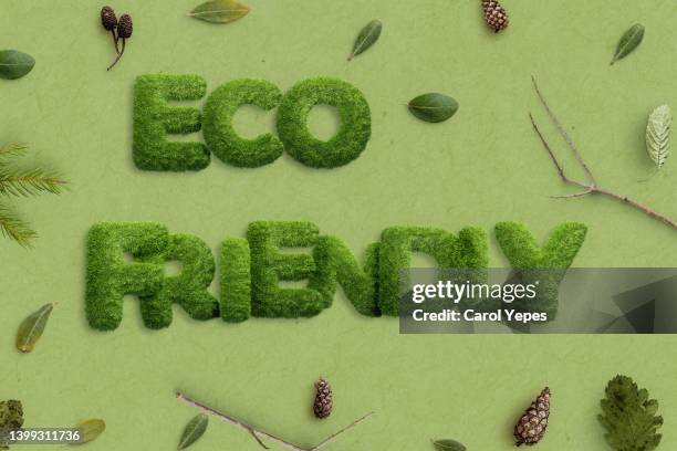 eco friendly text  written in green grass  style with leafs around. - nature alphabet letters - fotografias e filmes do acervo