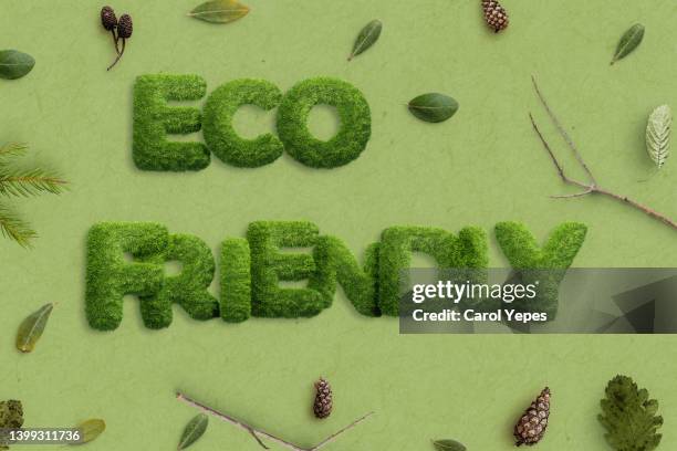 eco friendly text  written in green grass  style with leafs around. - nature alphabet letters bildbanksfoton och bilder