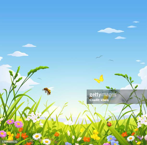 summer meadow with grasses, bees and flowers - butterfly background stock illustrations