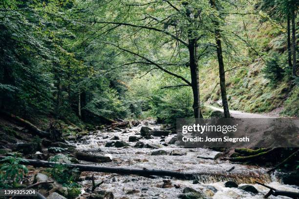 Spring Water From Rocks Spring Water Rocks Photos and Premium High Res Pictures - Getty Images