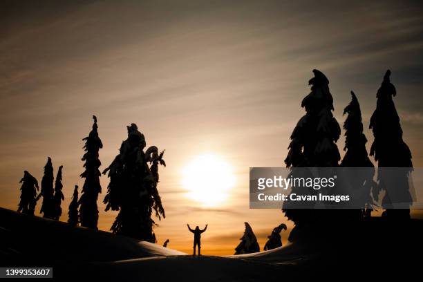 winter alpine camping - korktanne stock-fotos und bilder