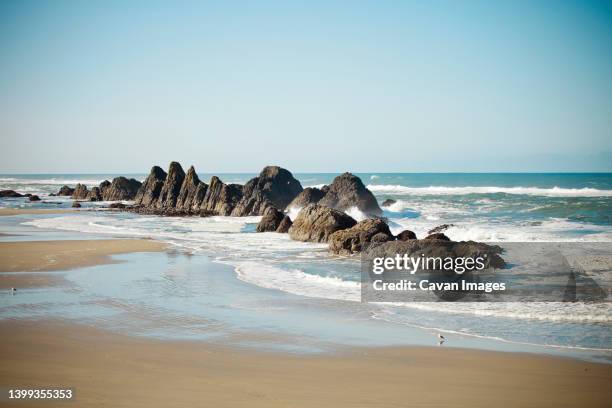 seal rock beach - costa de oregon imagens e fotografias de stock