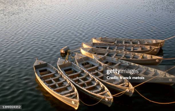 moored rowboats ( india) - imbarcazione per passeggeri foto e immagini stock