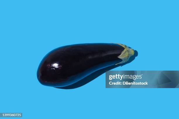 raw eggplant with hard shadow on blue background. concept of vegetable, healthy food, vegetarian food, veganism, food, garden and fresh food. - melanzana foto e immagini stock