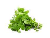 Green coriander bunch isolated on white