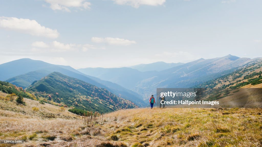 Senior couple in the middle of beautiful panorama view.