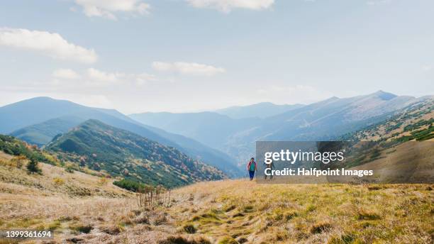 senior couple in the middle of beautiful panorama view. - walking side view stock-fotos und bilder