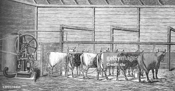 milking machine in the cowshed - cowshed stock illustrations