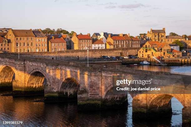sunlight, berwick-upon-tweed, old bridge, northumberland, england - berwick upon tweed stock pictures, royalty-free photos & images