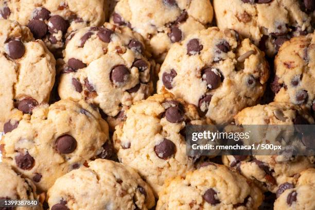 full frame shot of cookies,mexico city,mexico - biscoito de chocolate imagens e fotografias de stock