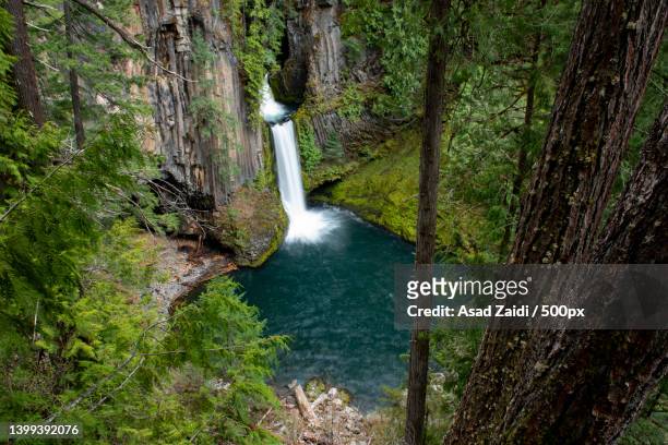 scenic view of waterfall in forest,toketee falls,oregon,united states,usa - oregon wilderness stock pictures, royalty-free photos & images