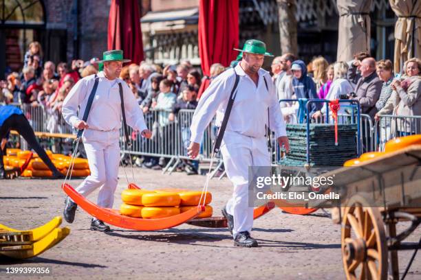 cheese carriers in alkmaar - cheese production in netherlands stock pictures, royalty-free photos & images