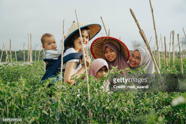 familia multigeneracional en granja de hortalizas - indonesian farmer fotografías e imágenes de stock